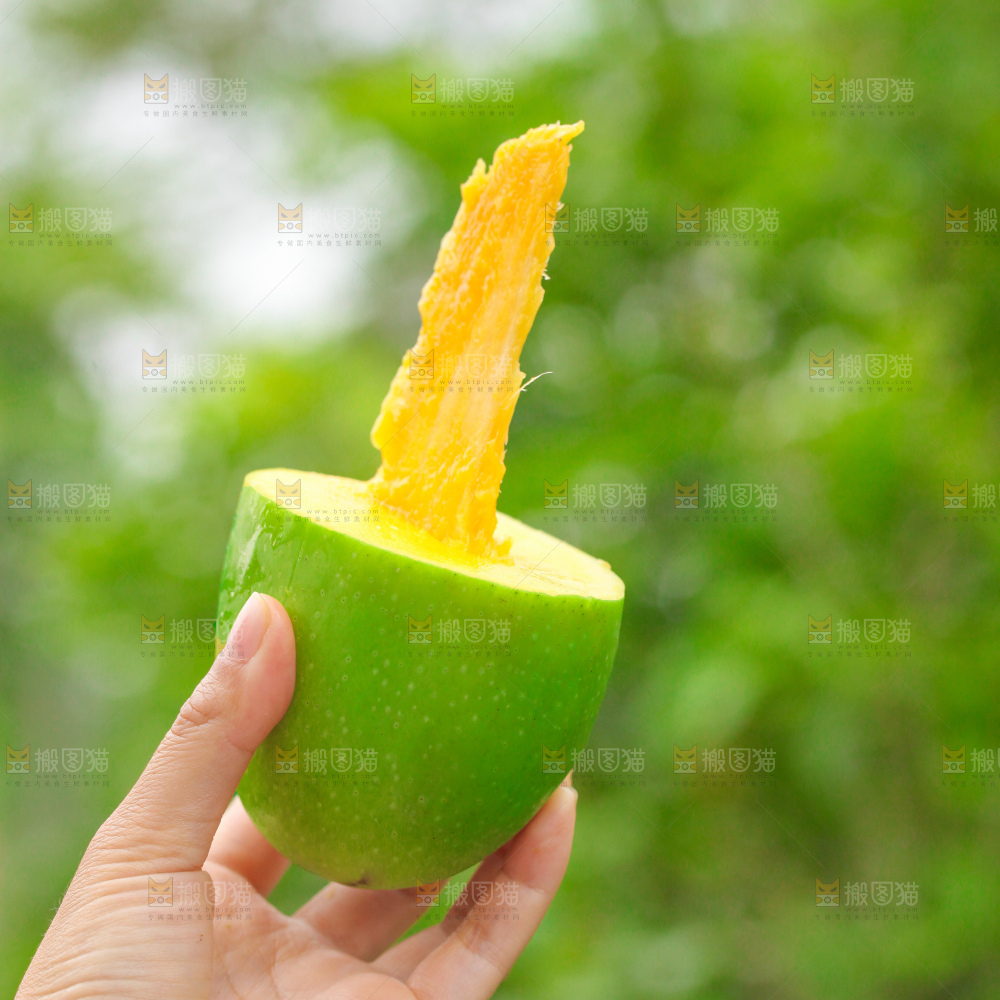 浅底上的绿皮金煌芒