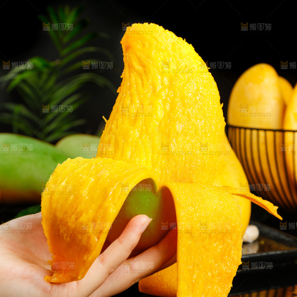 浅底上的绿皮金煌芒