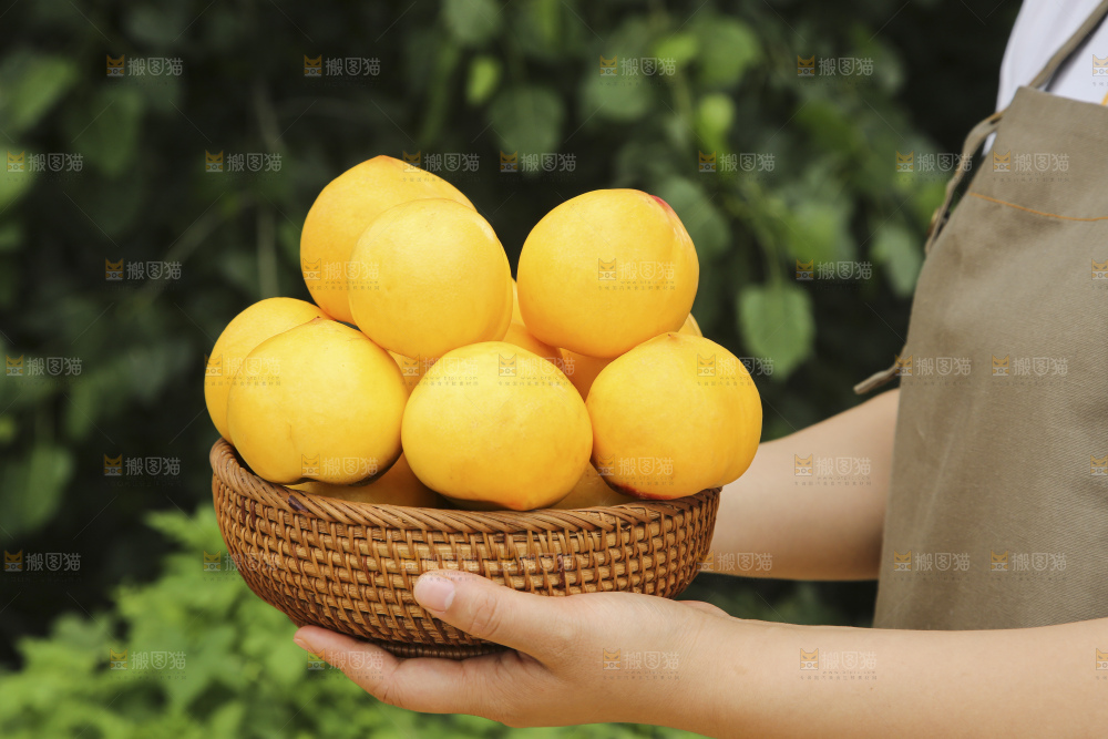 手里拿着黄油桃