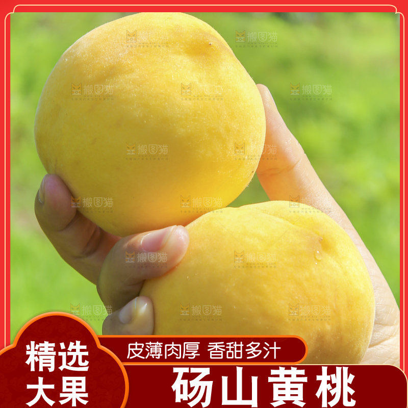 手里拿着黄毛桃