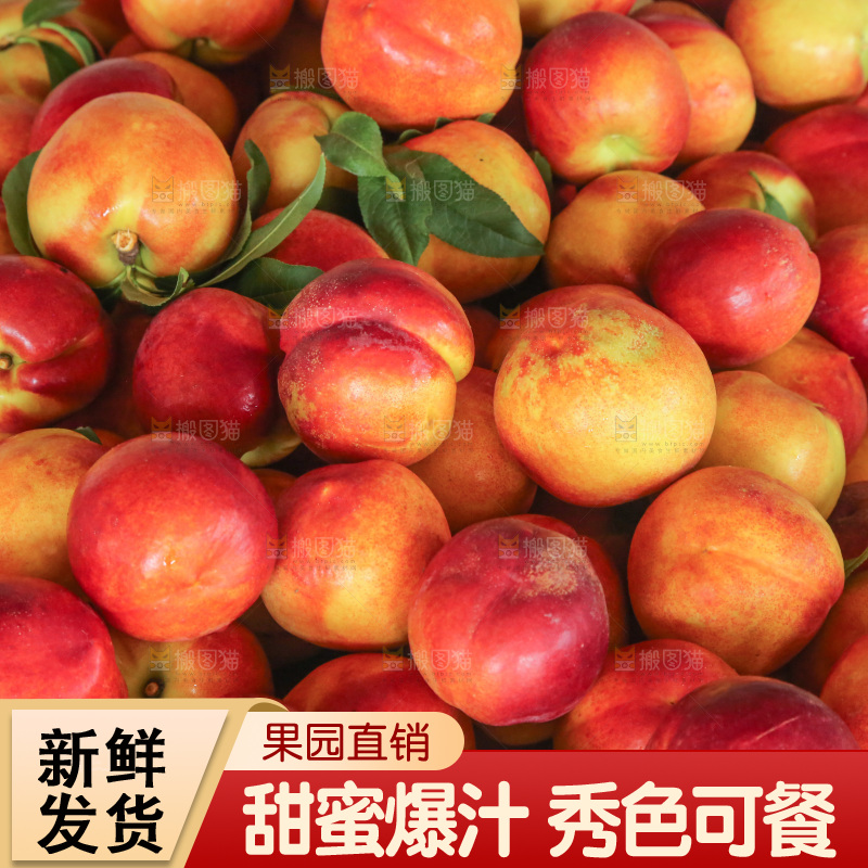 新鲜现摘的油桃