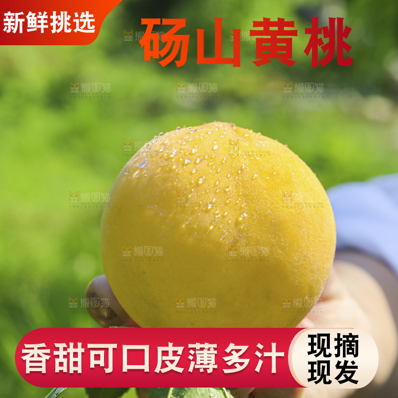 手里拿着黄毛桃
