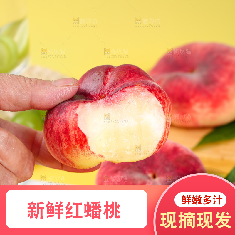 浅底上的毛蟠桃