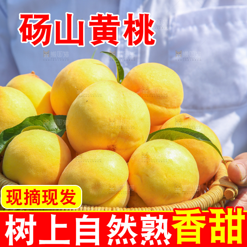 手里拿着黄毛桃