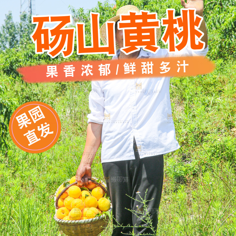 手里拿着黄毛桃