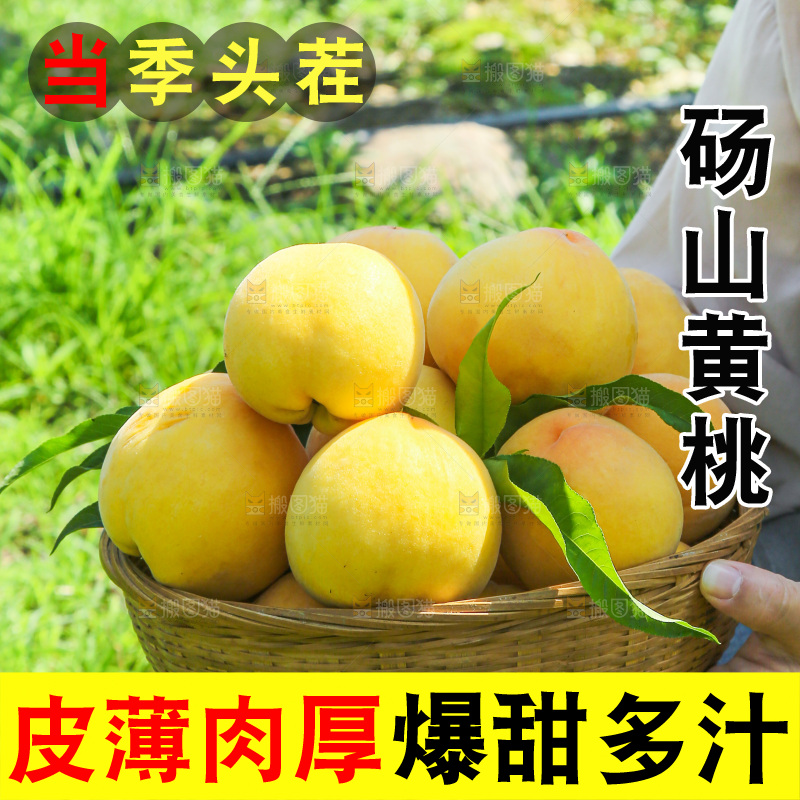 手里拿着黄毛桃