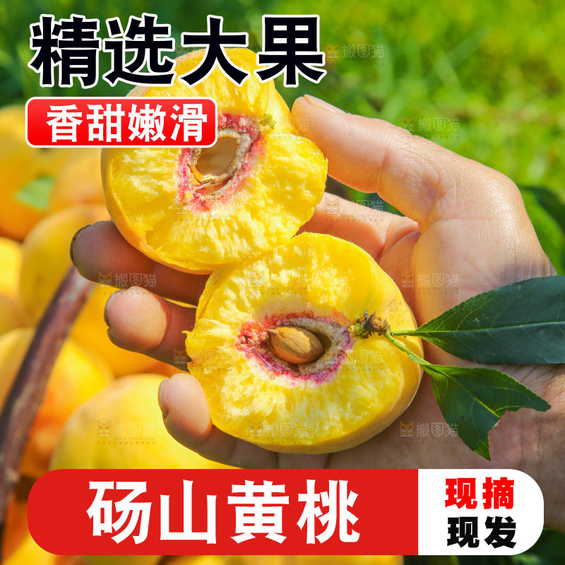 手里拿着黄毛桃