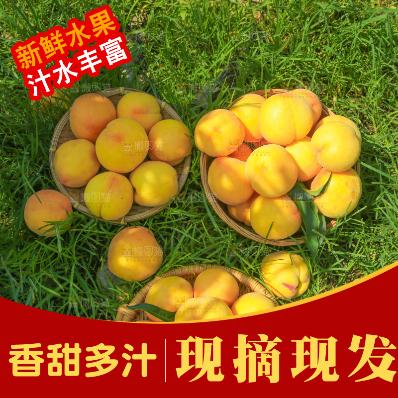 手里拿着黄毛桃