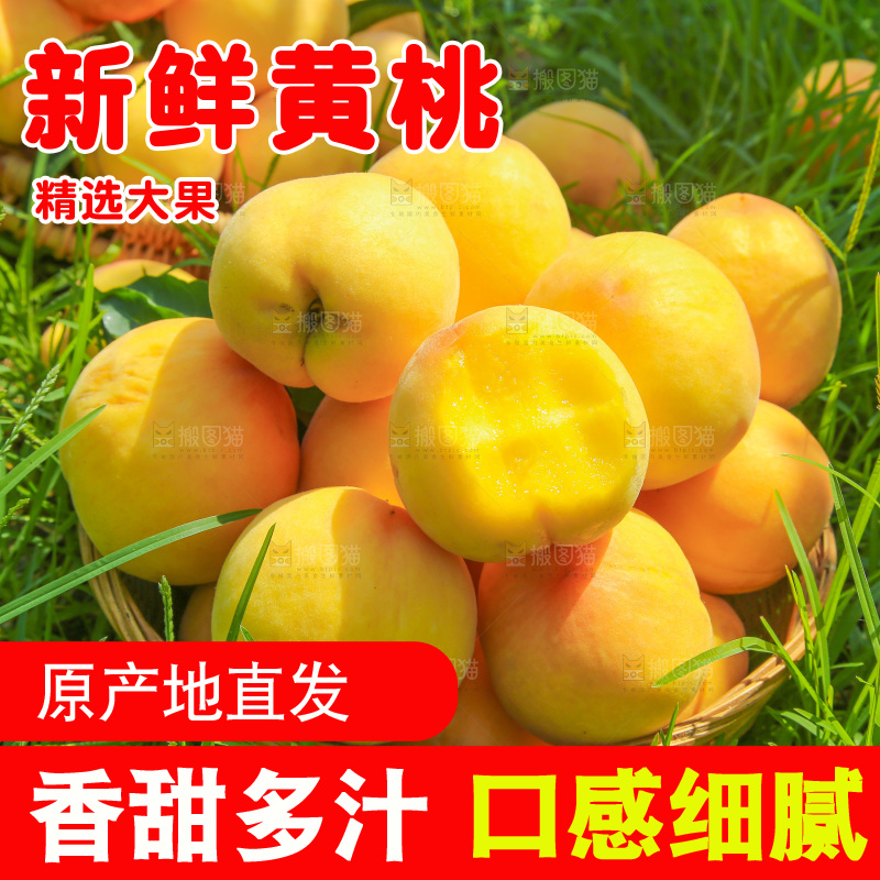 手里拿着黄毛桃