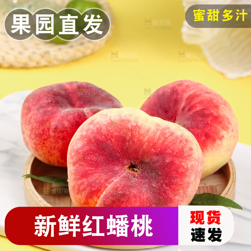 浅底上的毛蟠桃