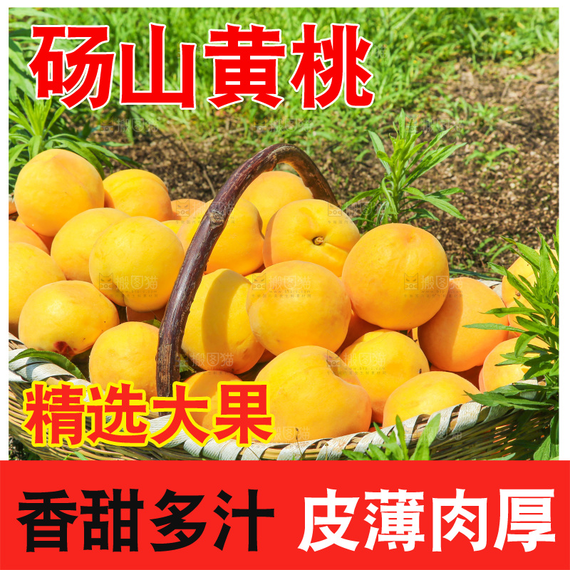 手里拿着黄毛桃