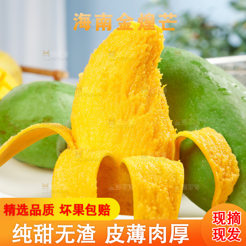 浅底上的绿皮金煌芒
