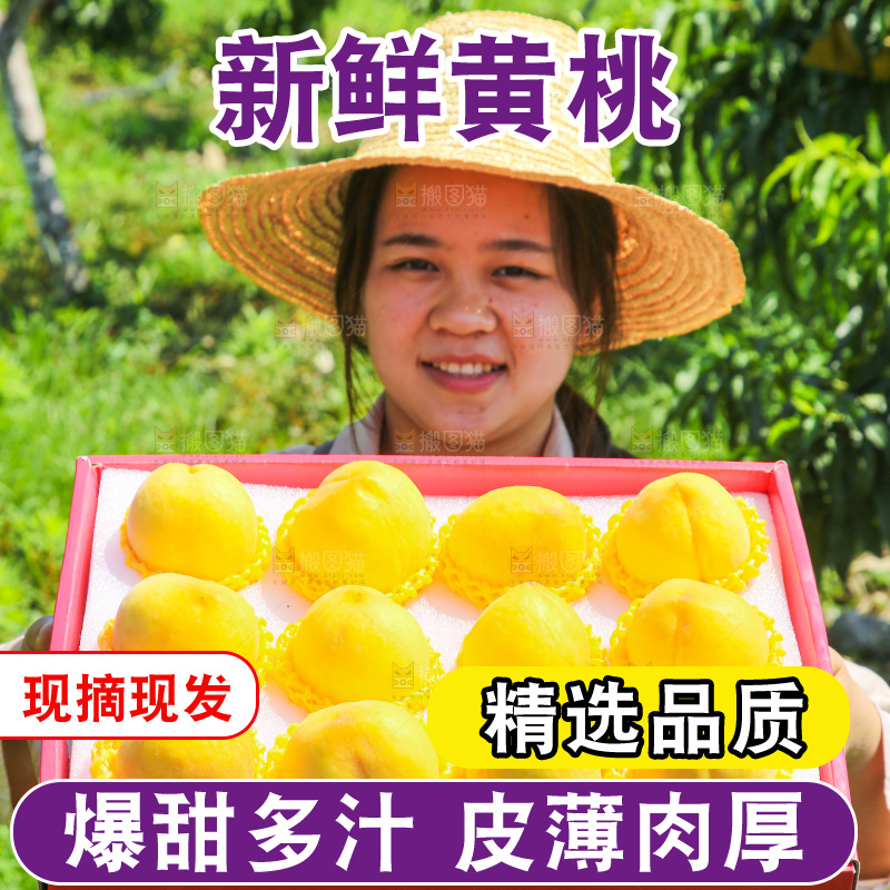 手里拿着黄毛桃