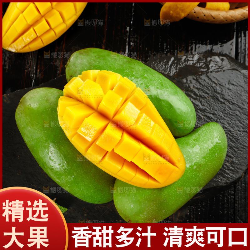 浅底上的绿皮金煌芒