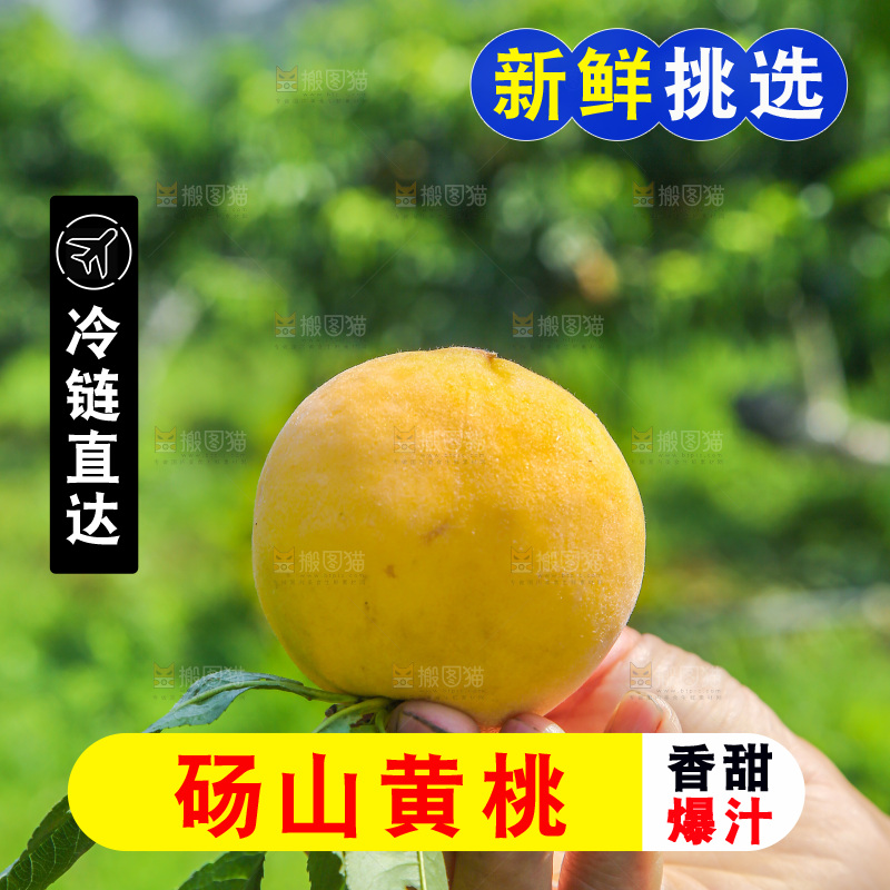 手里拿着黄毛桃