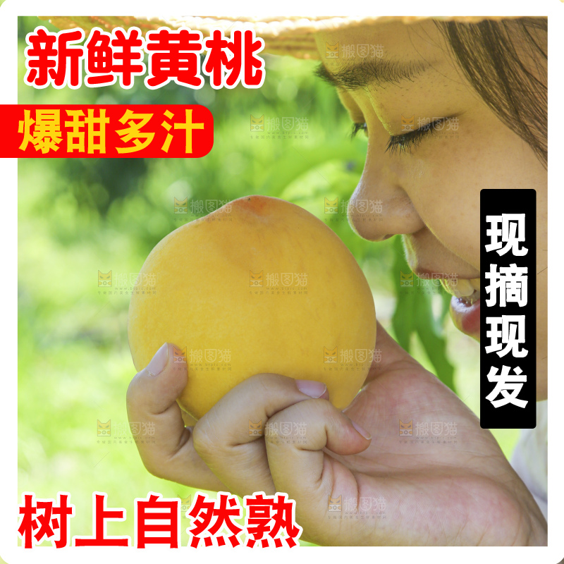 手里拿着黄毛桃