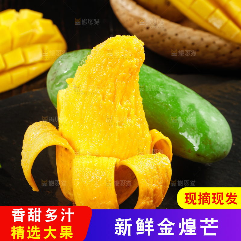 浅底上的绿皮金煌芒