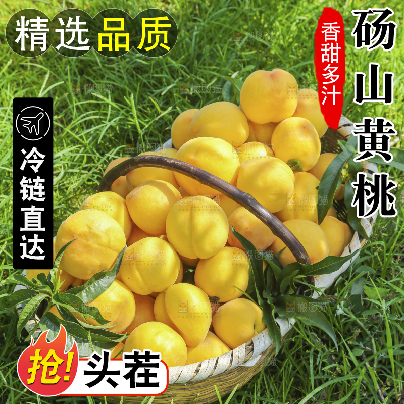 手里拿着黄毛桃