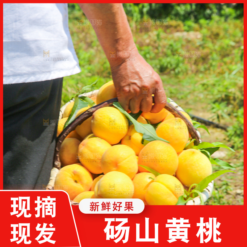 手里拿着黄毛桃