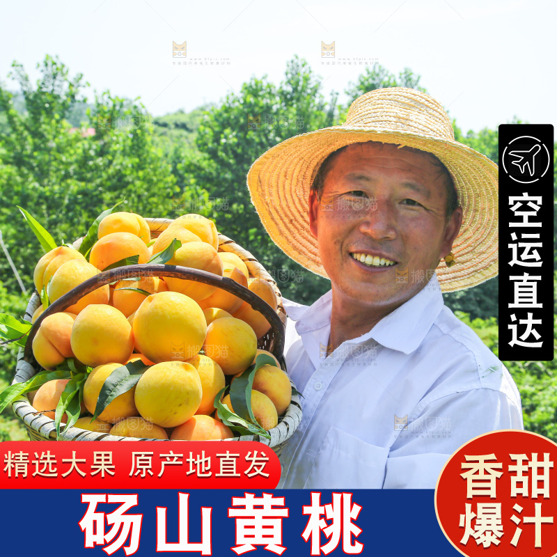 手里拿着黄毛桃