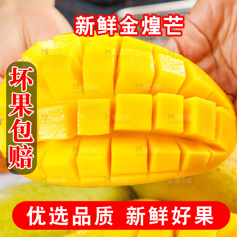 浅底上的绿皮金煌芒