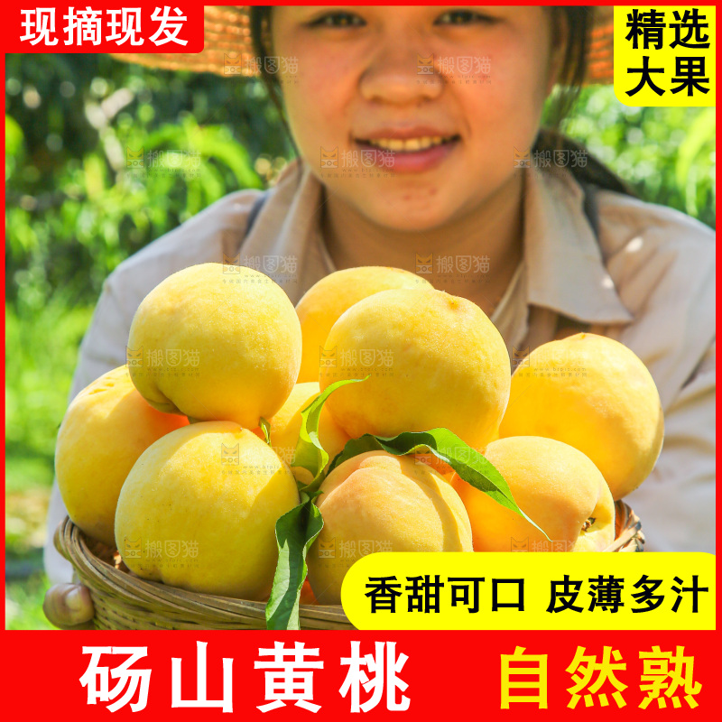 手里拿着黄毛桃