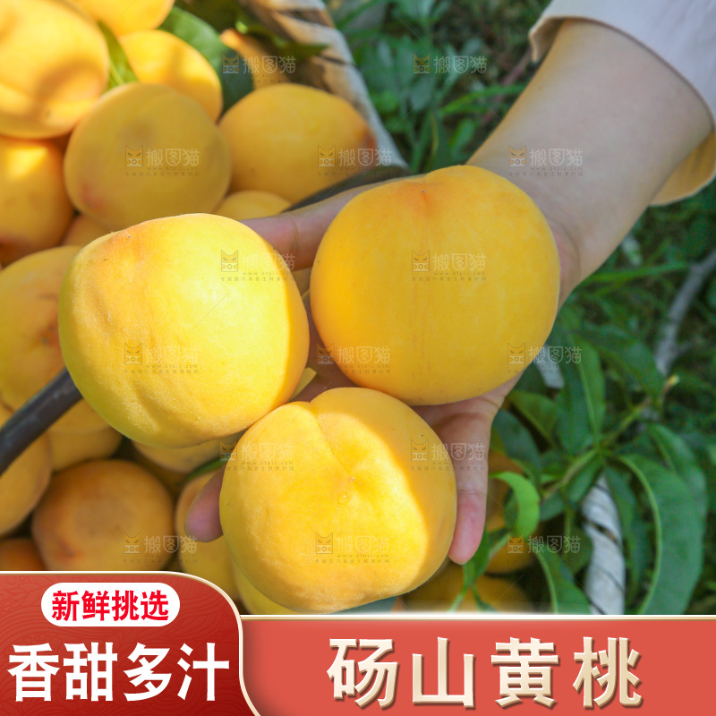 手里拿着黄毛桃