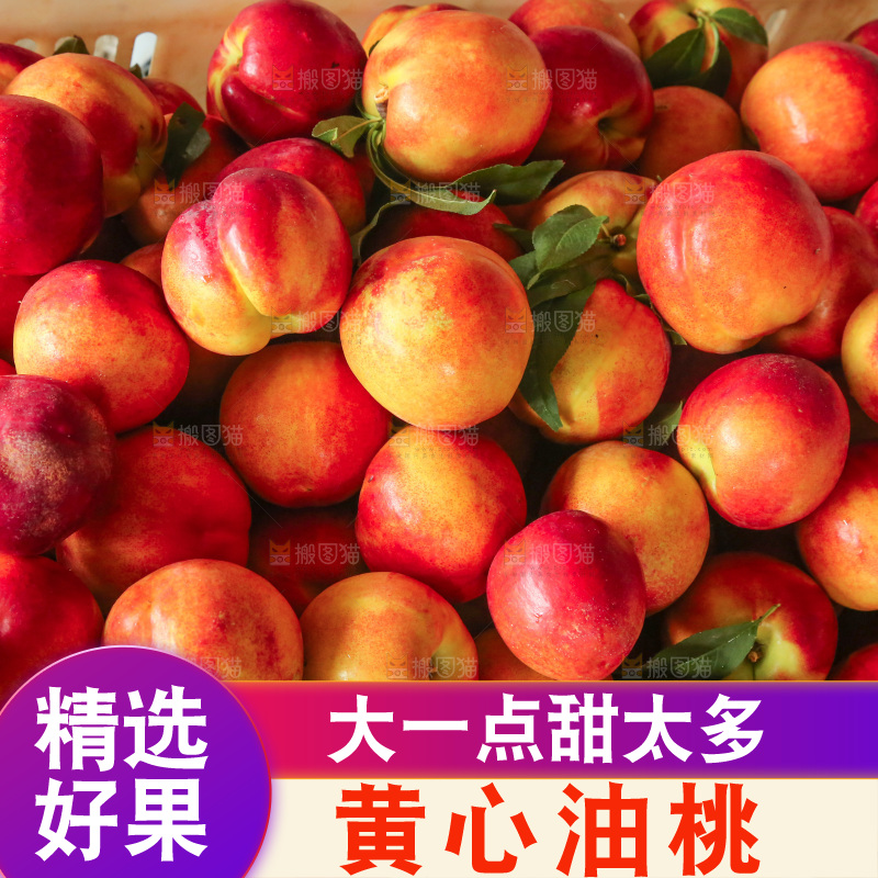 新鲜现摘的油桃