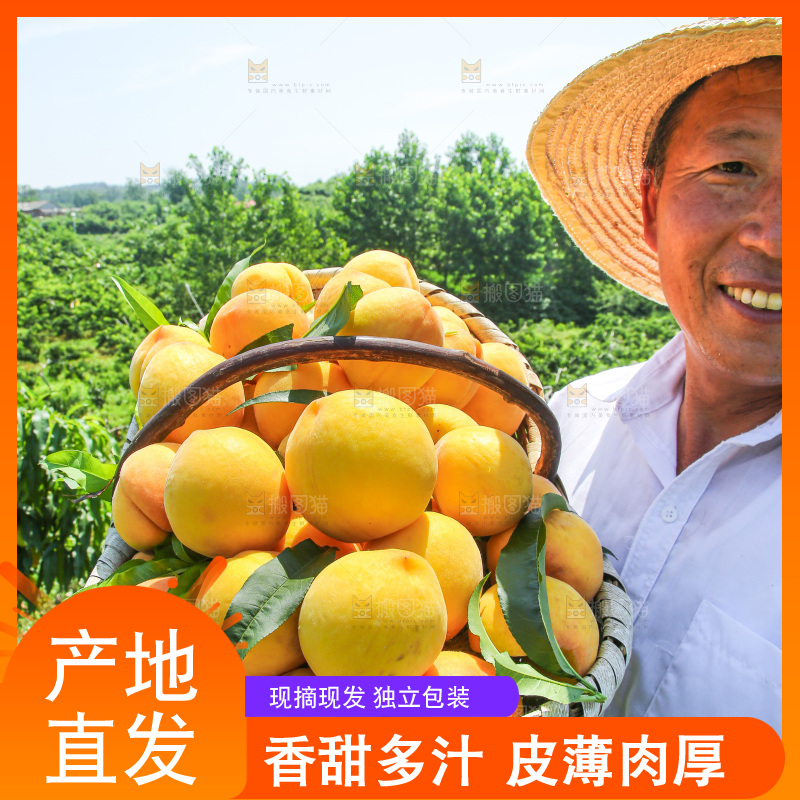 手里拿着黄毛桃
