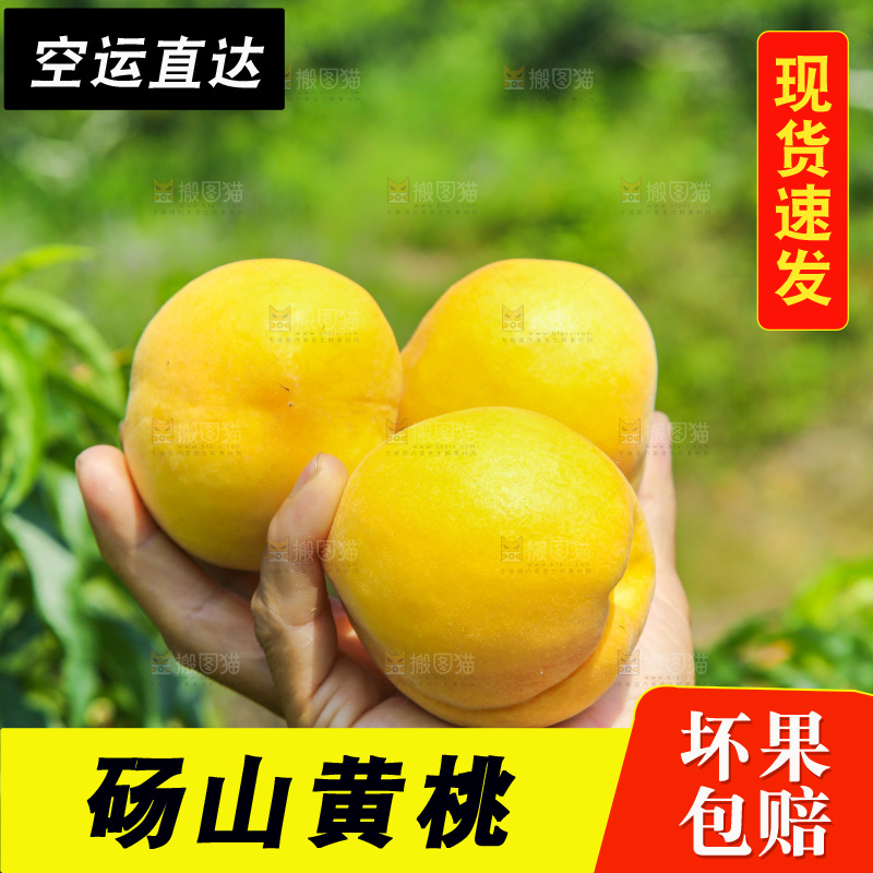 手里拿着黄毛桃