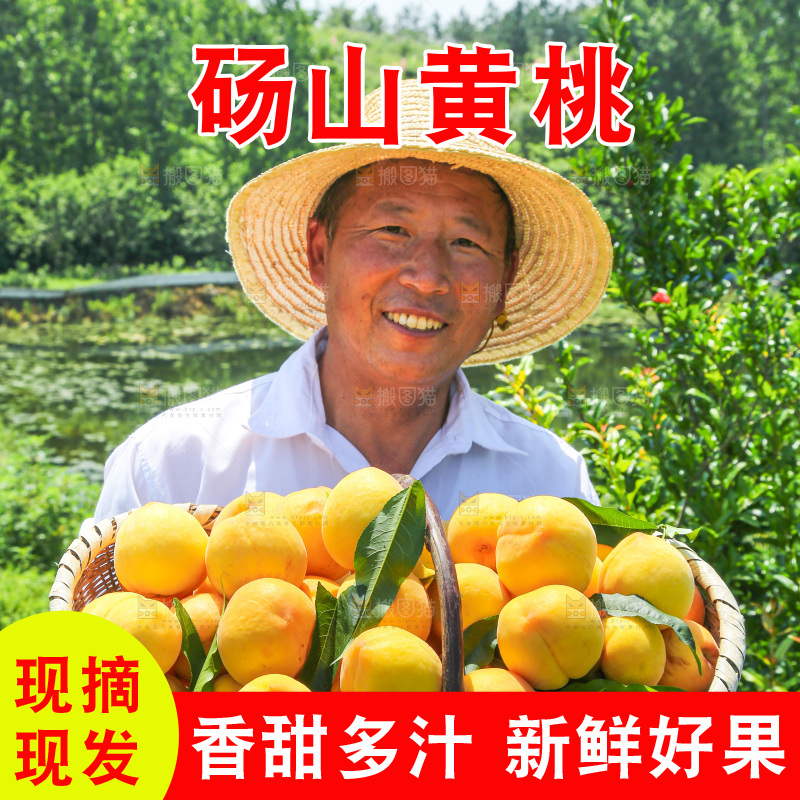 手里拿着黄毛桃