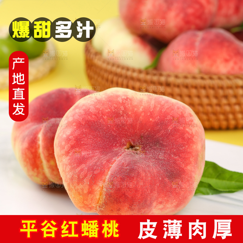 浅底上的毛蟠桃