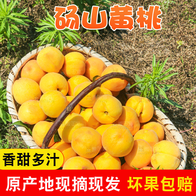 手里拿着黄毛桃
