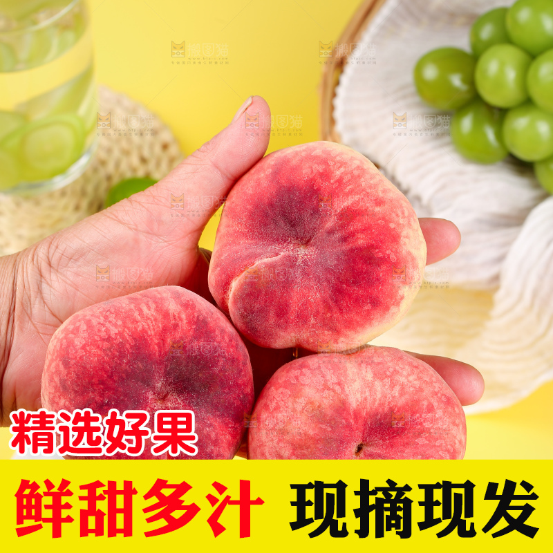 浅底上的毛蟠桃