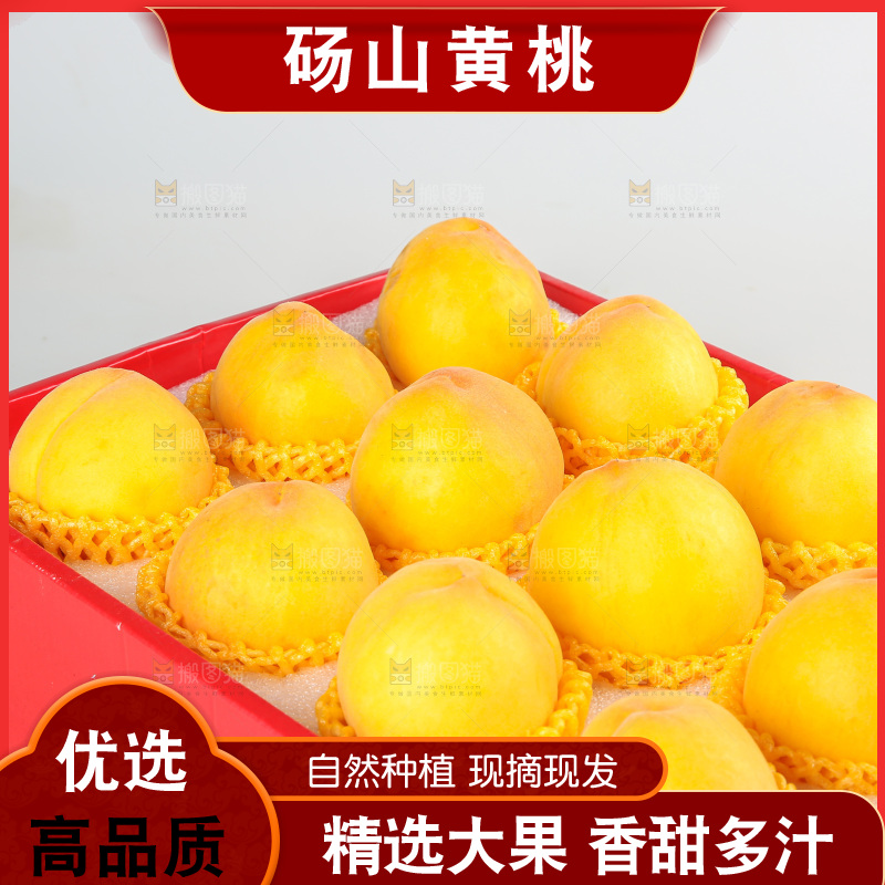白底上的黄毛桃