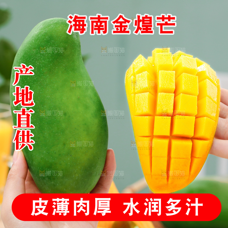 浅底上的绿皮金煌芒