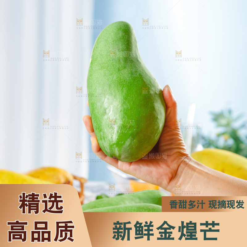 浅底上的绿皮金煌芒