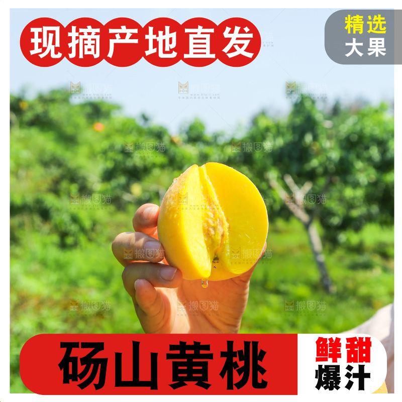 手里拿着黄毛桃