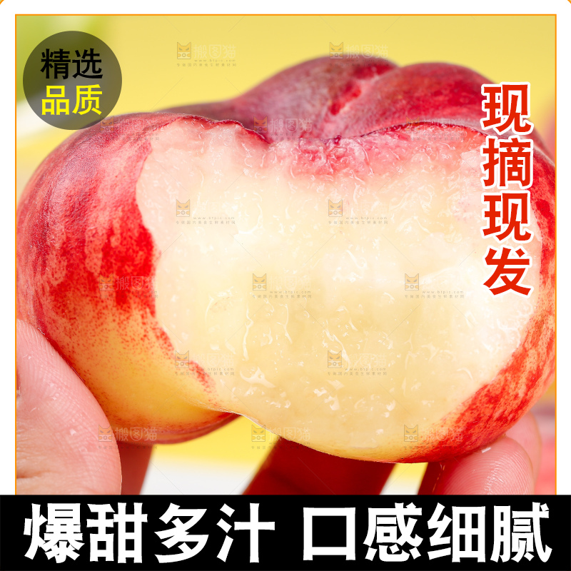 浅底上的毛蟠桃