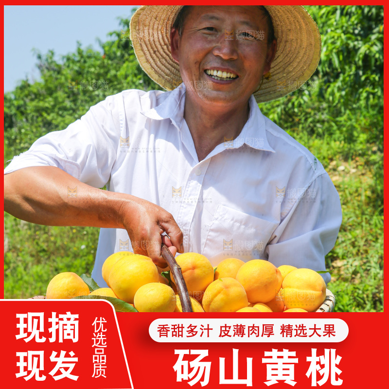 手里拿着黄毛桃