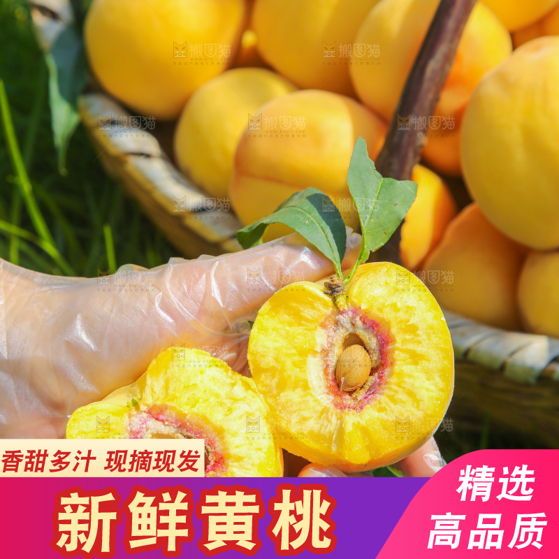 手里拿着黄毛桃