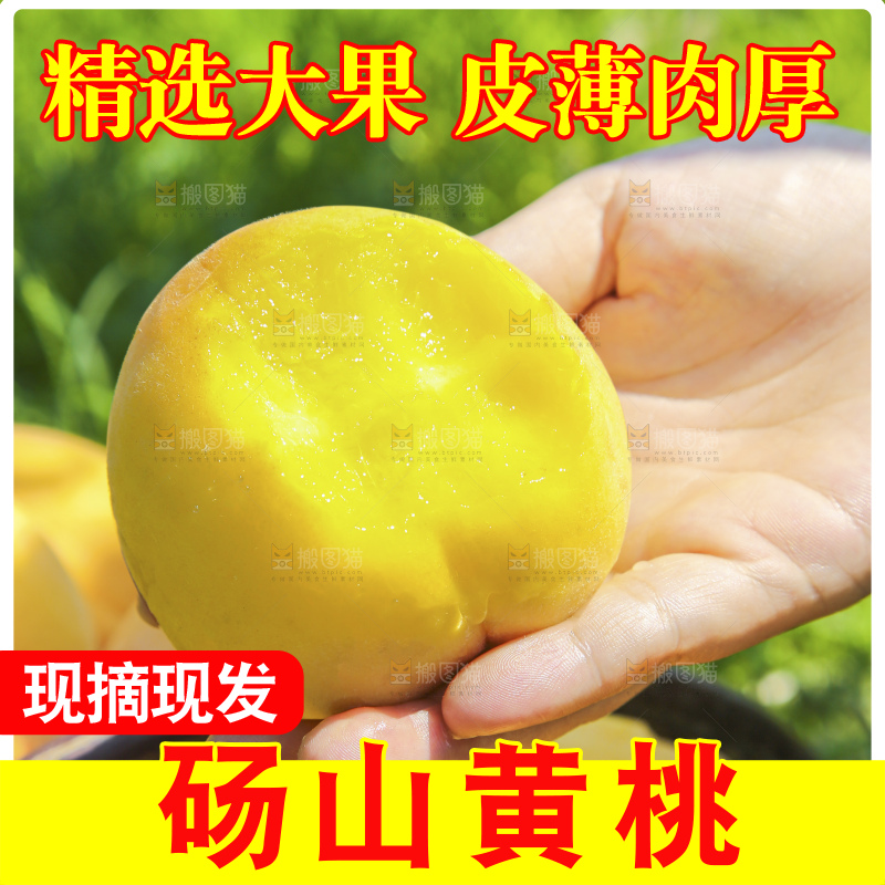 手里拿着黄毛桃