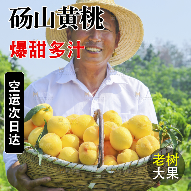 手里拿着黄毛桃