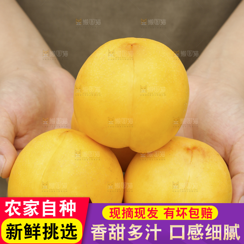 手里拿着黄油桃