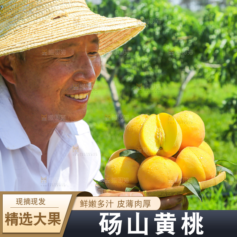 手里拿着黄毛桃