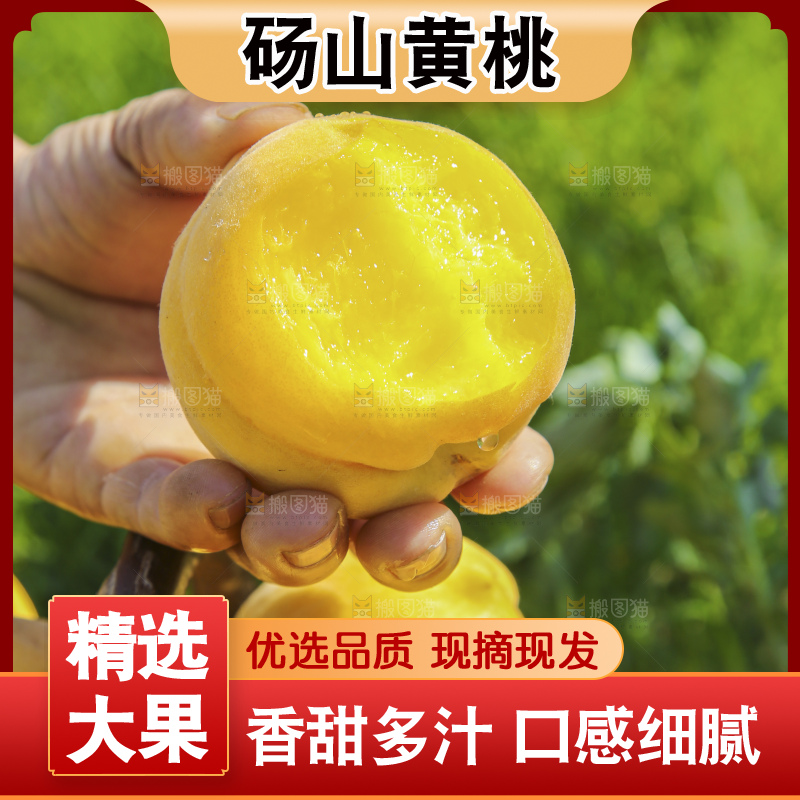 手里拿着黄毛桃