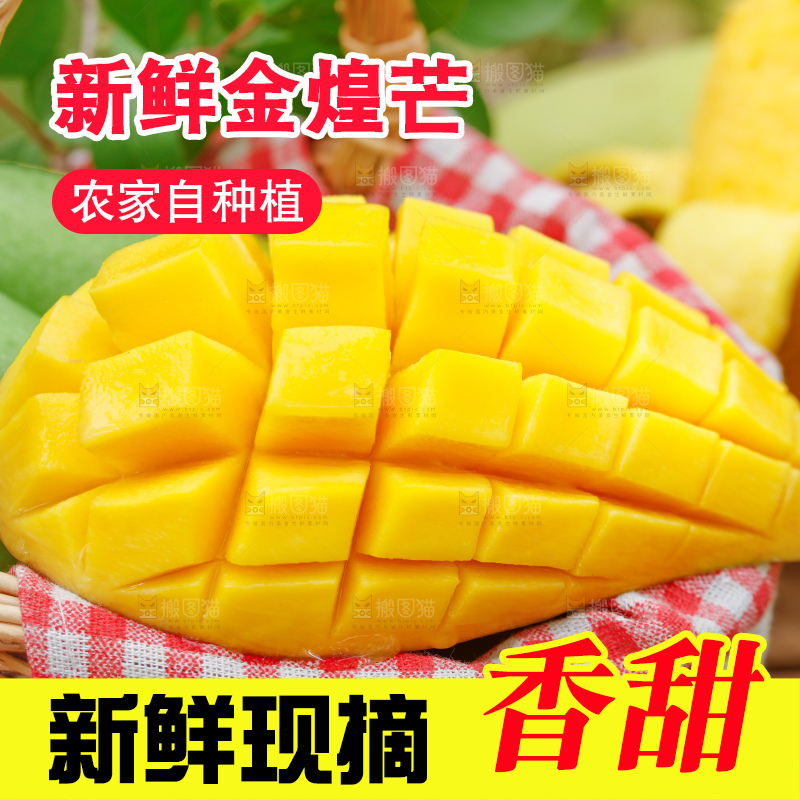 浅底上的绿皮金煌芒