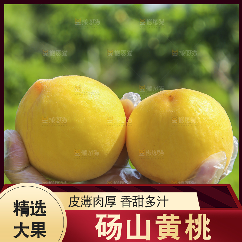 手里拿着黄毛桃
