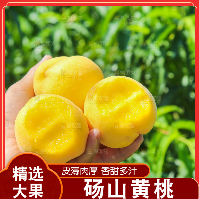 手里拿着黄毛桃