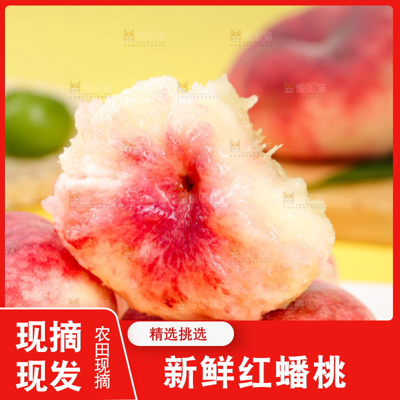 浅底上的毛蟠桃